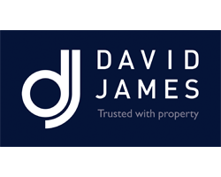 david-james-logo